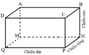 diện tích hình chữ nhật