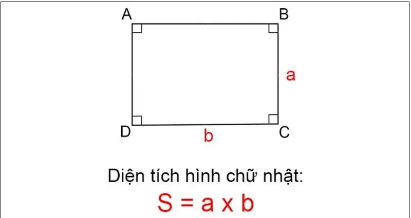 Công thức diện tích hình chữ nhật