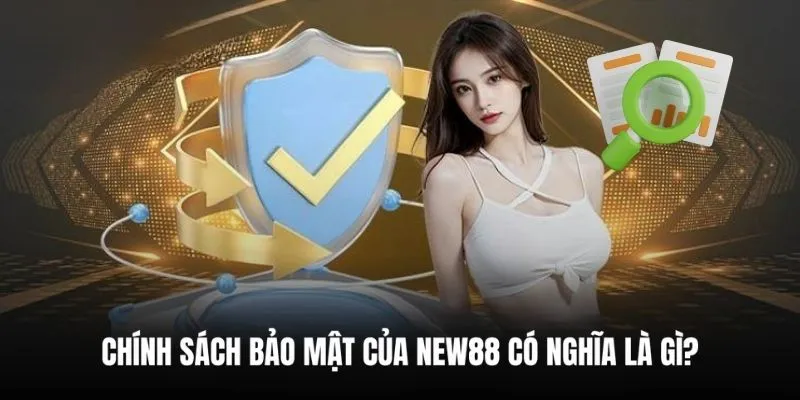 Một số thông tin về vai trò của chính sách bảo mật tại New88