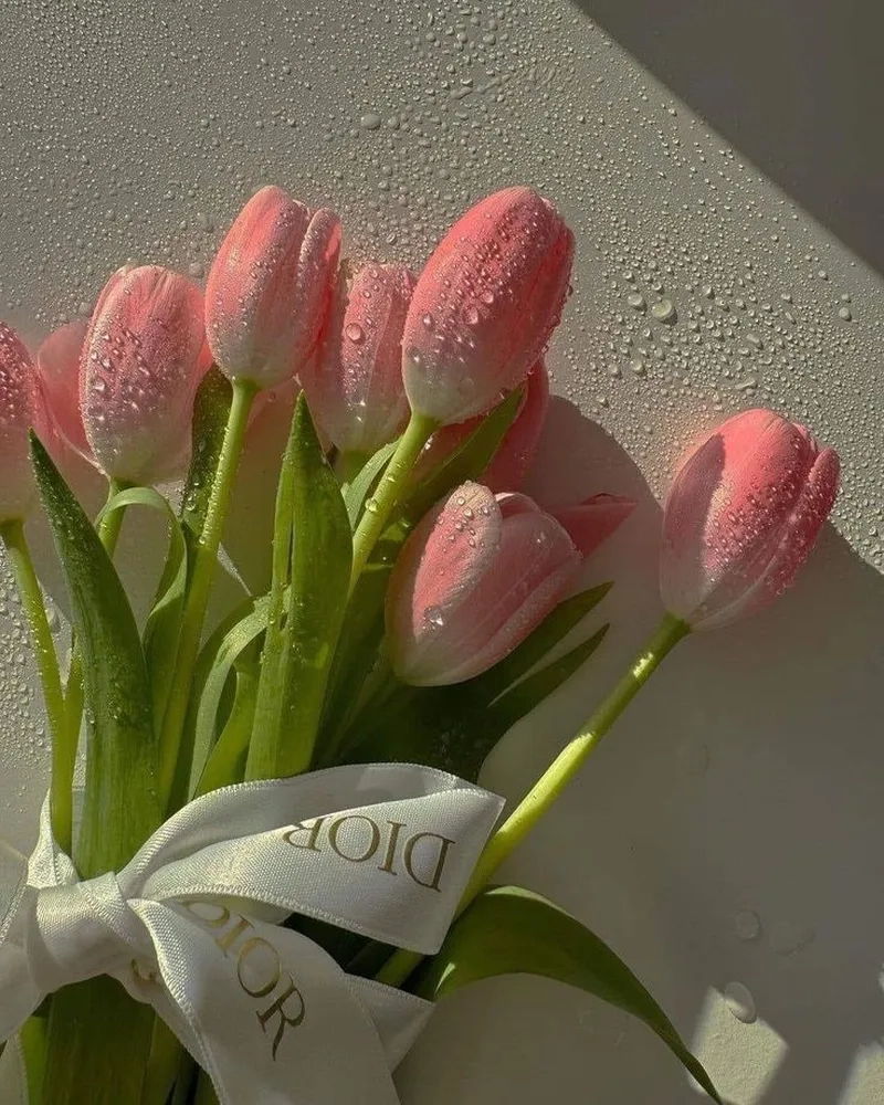Không gian lãng mạn trong ảnh vườn hoa tulip