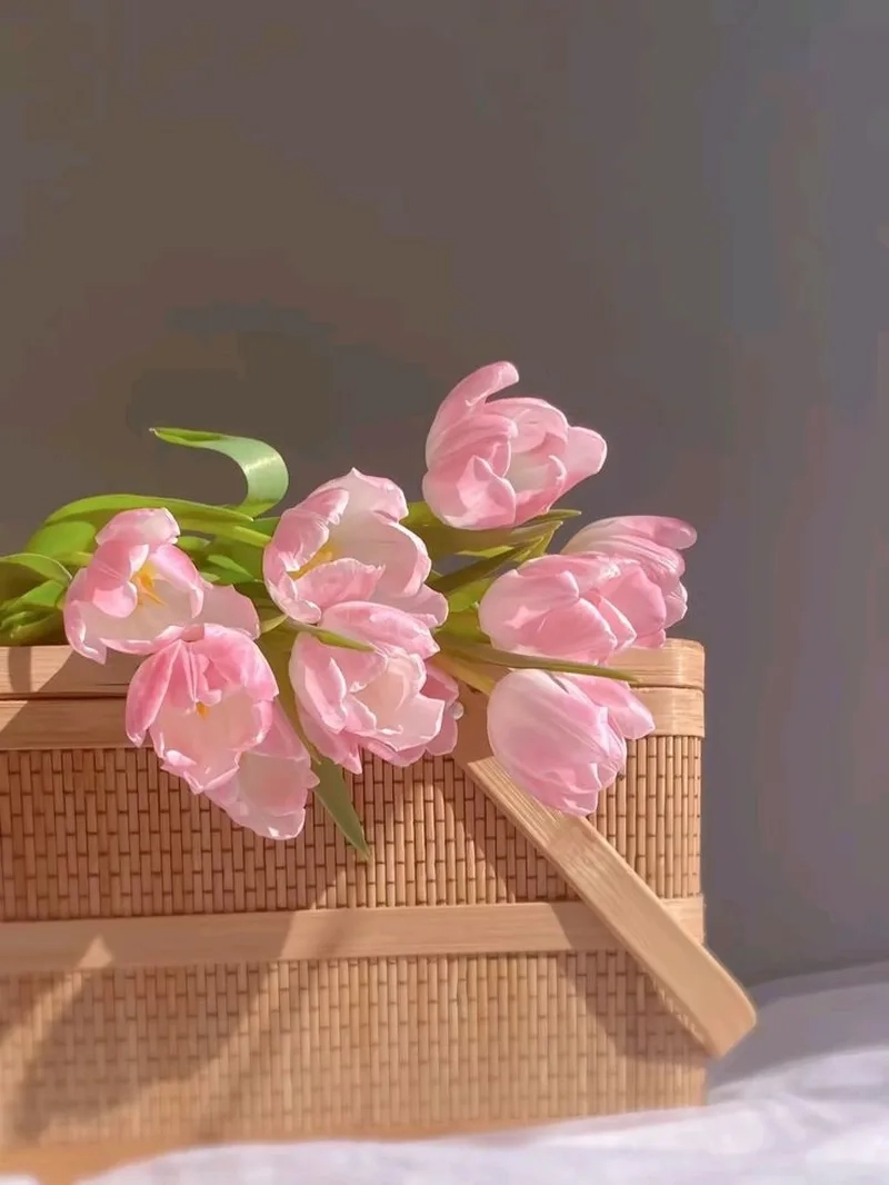 Chiêm ngưỡng sự quyến rũ từ hình ảnh hoa tulip đẹp
