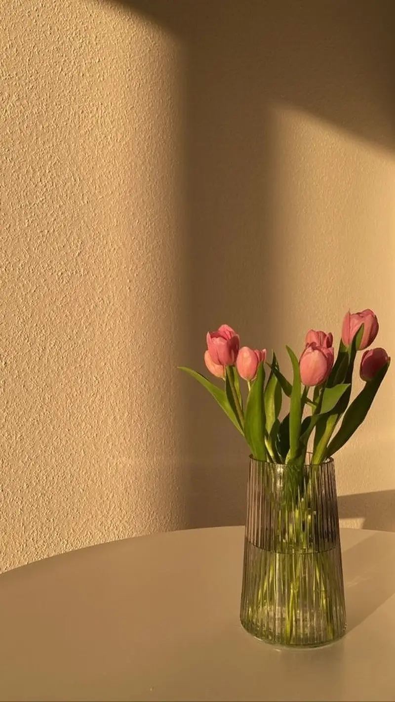 Lung linh rực rỡ cùng ảnh hoa tulip sáng