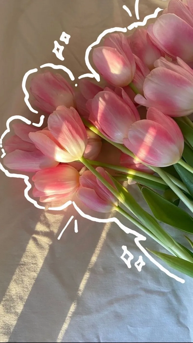 Dễ thương hết nấc với ảnh hoa tulip cute