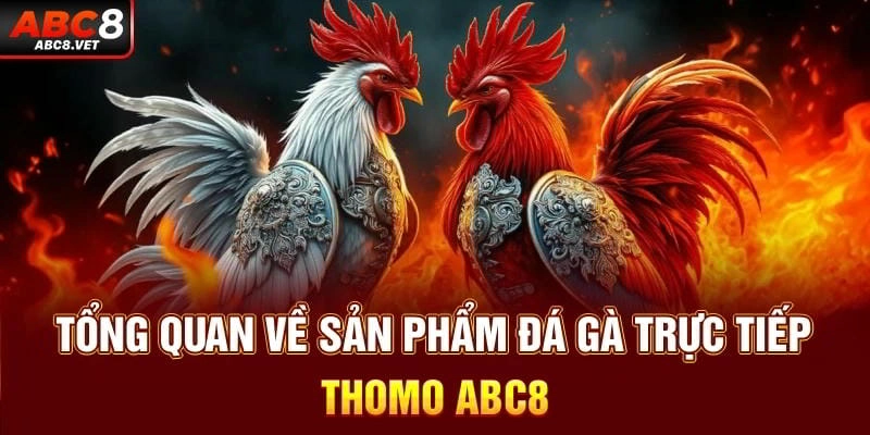 Sự phát triển của đá gà tại Việt Nam