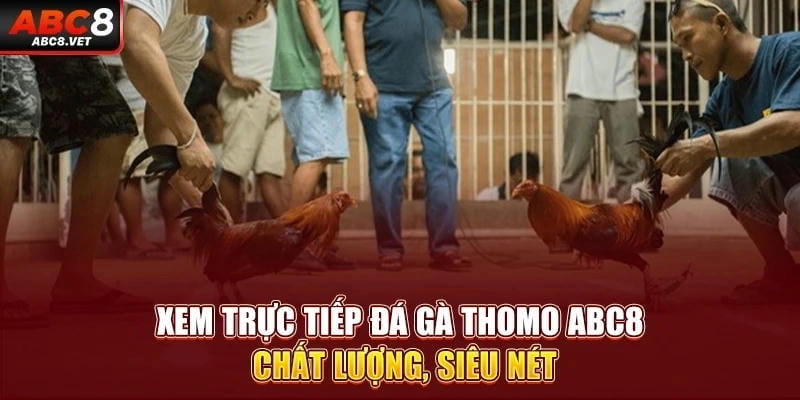 Đặc điểm nổi bật của Đá Gà ABC8