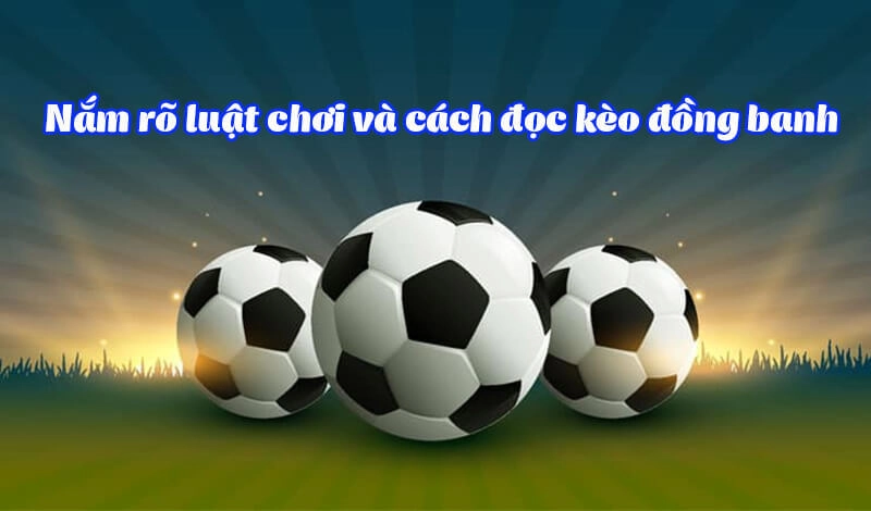 Kèo đồng banh nửa trái xuất hiện khi nào? Nhận diện kèo thơm tại 8XBET