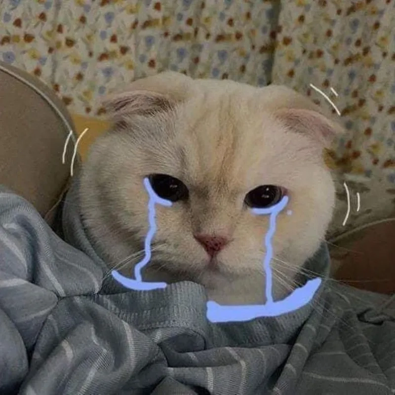 Nhìn mà muốn an ủi ngay với ảnh mèo khóc meme