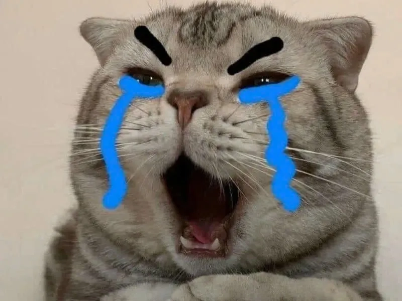 Tuyển tập ảnh meme mèo khóc cực chất cho dân hệ buồn