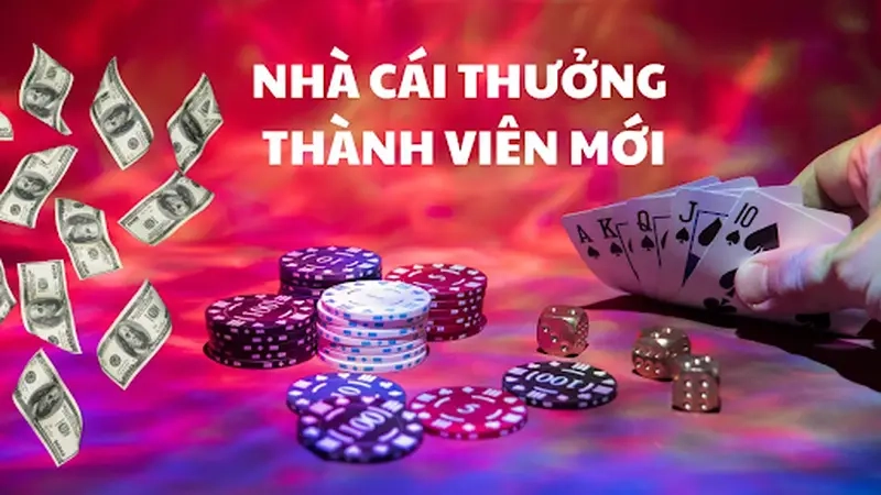 Chương trình ưu đãi hấp dẫn được tổ chức liên tục