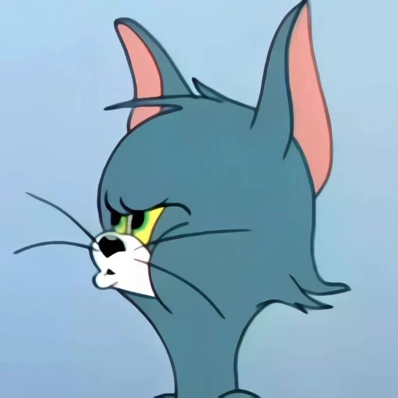 Xem Tom cat meme và cảm nhận niềm vui