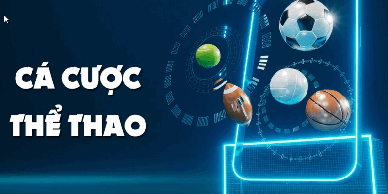 Mẹo Cá Cược Hiệu Quả Giúp Gia Tăng Tỷ Lệ Thắng