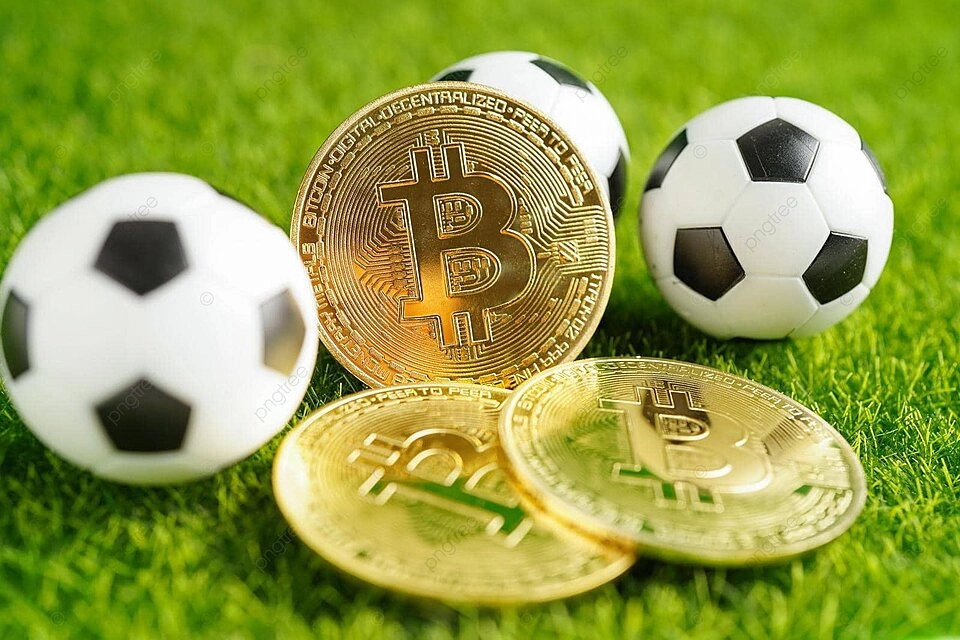 Bí Quyết Thắng Lớn Khi Chơi Thể Thao Bongvip
