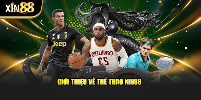 Giới thiệu về thể thao XIN88