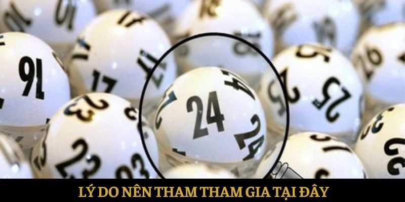 Lý do nên tham tham gia tại đây