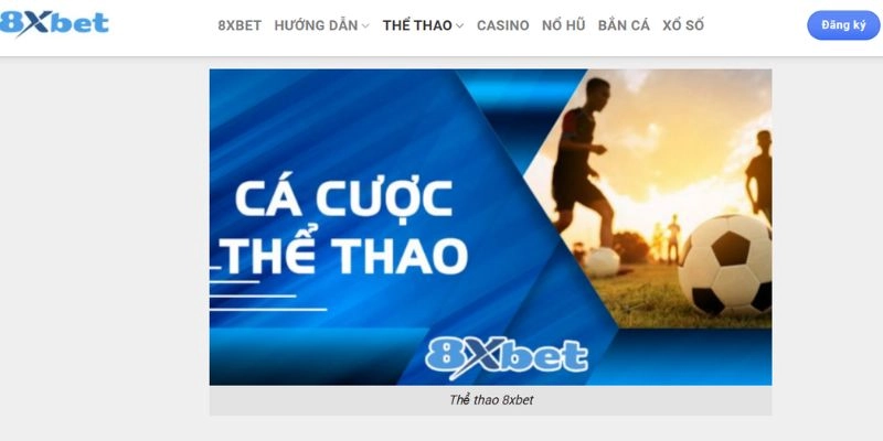 Những khuyến mãi cực hậu hĩnh không thể bỏ lỡ tại 8xbet