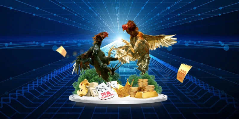 Trải nghiệm đá gà cựa dao Thomo tại VZ99