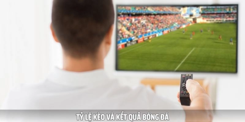 Tỷ lệ kèo và kết quả bóng đá được cập nhật nhanh chóng trong ngày