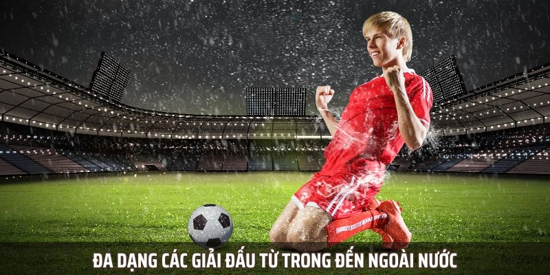 Đa dạng các giải đấu từ trong đến ngoài nước
