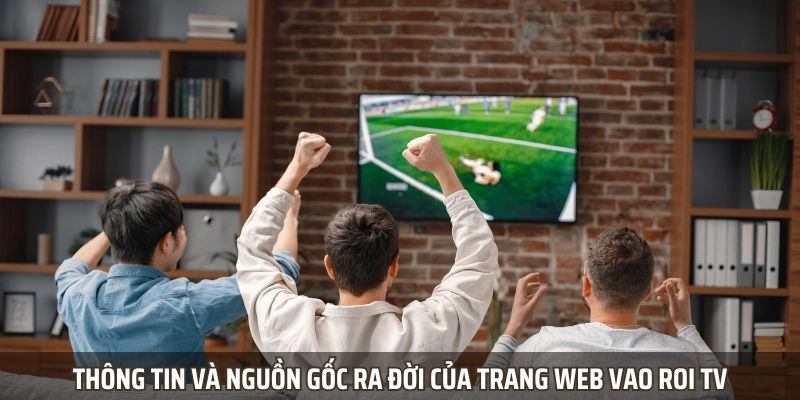 Thông tin và nguồn gốc ra đời của trang web vao roi tv