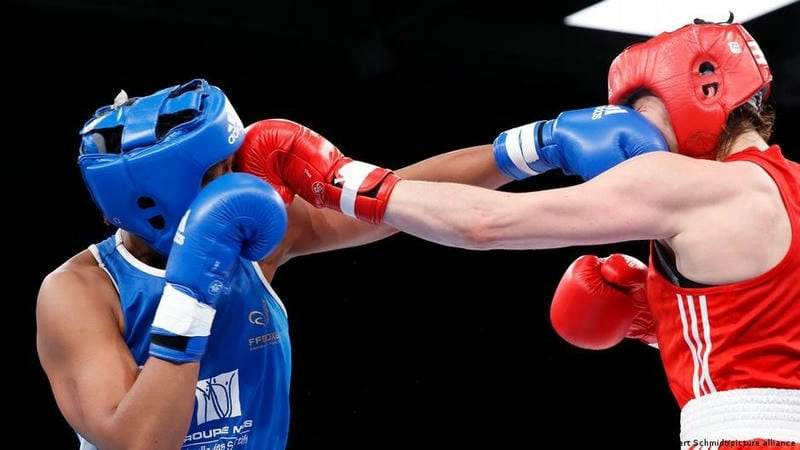 Trải nghiệm cá cược boxing đậm chất chiến binh