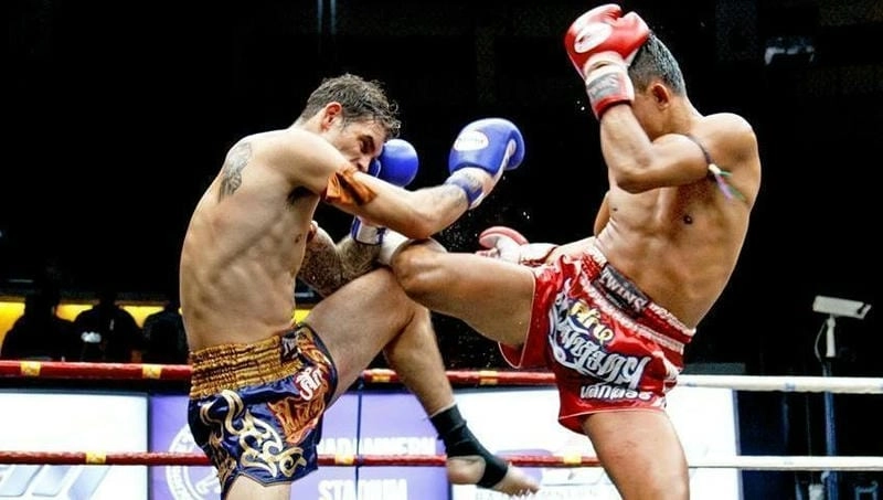 Vì sao Win68 là bến đỗ lý tưởng cho cược thủ boxing?