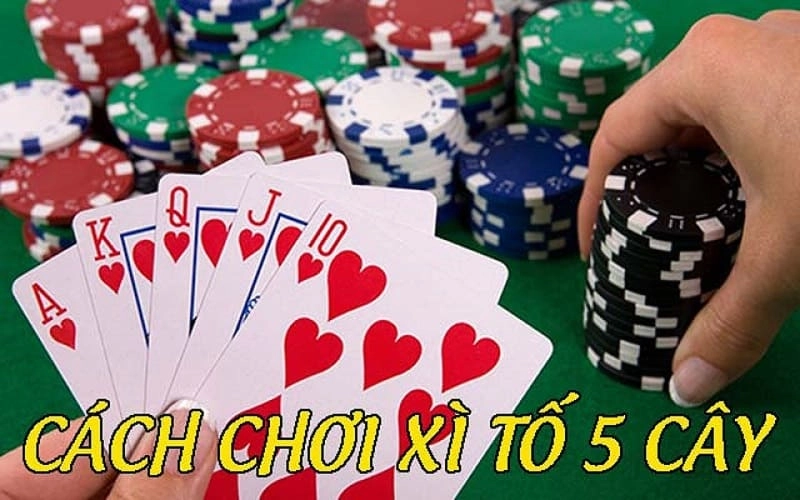 Chiến Thuật Tố Trong Xì Tố 5 Cây