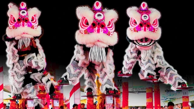 LUCK8 và Luckywin: Điểm Tựa Vững Chắc Cho Niềm Đam Mê