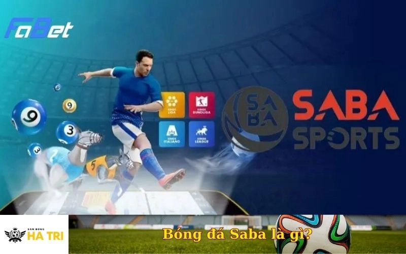 Giải Mã Nền Tảng Bóng Đá SABA