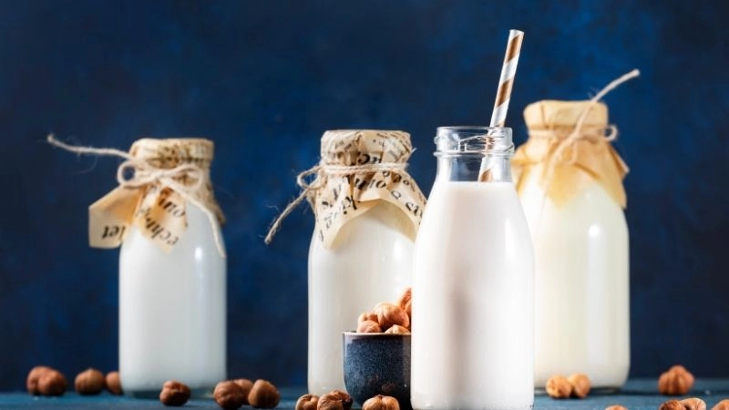 Cách bảo quản sữa hạt giữ hương vị tươi mới