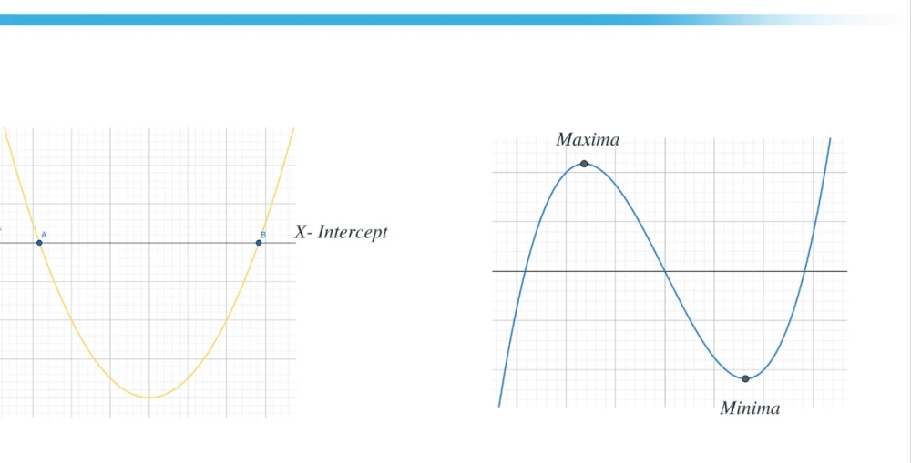  Họ đường cong của các nguyên hàm tịnh tiến theo trục tung.