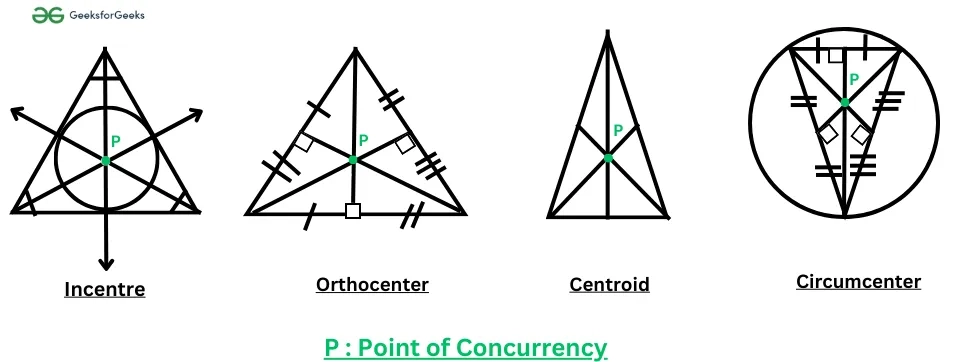  Sơ đồ minh họa 5 đường đặc biệt trong tam giác  