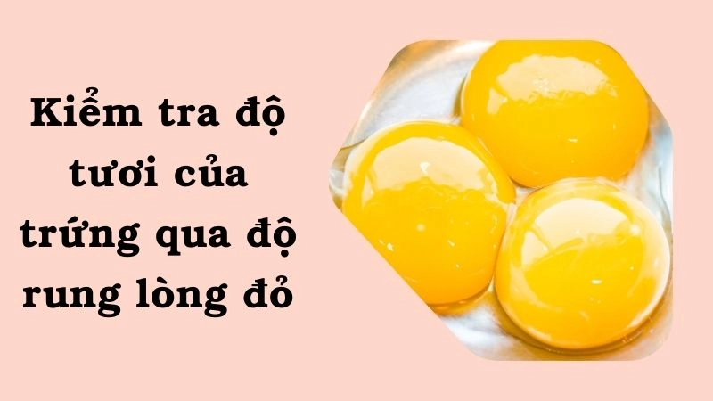 Kiểm tra độ tươi của trứng qua độ rung lòng đỏ