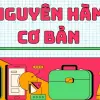 Nguyên hàm cơ bản - Bảng công thức và mẹo giải nhanh