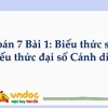 Biểu thức số và biểu thức đại số lớp 7: Khái niệm và cách phân biệt