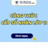 Công thức công bội và ứng dụng trong cấp số nhân