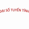 Đại Số Tuyến Tính Tổng Quan Kiến Thức Cốt Lõi