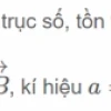 Độ dài đại số: Khái niệm và cách tính chi tiết trong hình học