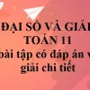 Sách Giáo Khoa Đại Số và Giải Tích 11 Cơ Bản: Nội dung và Cách khai thác hiệu quả