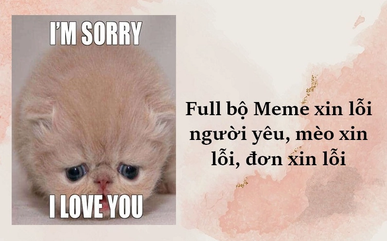 541+ Meme Xin Lỗi Hài Hước Cho Tình Huống Dở Khóc Dở Cười Năm 2026