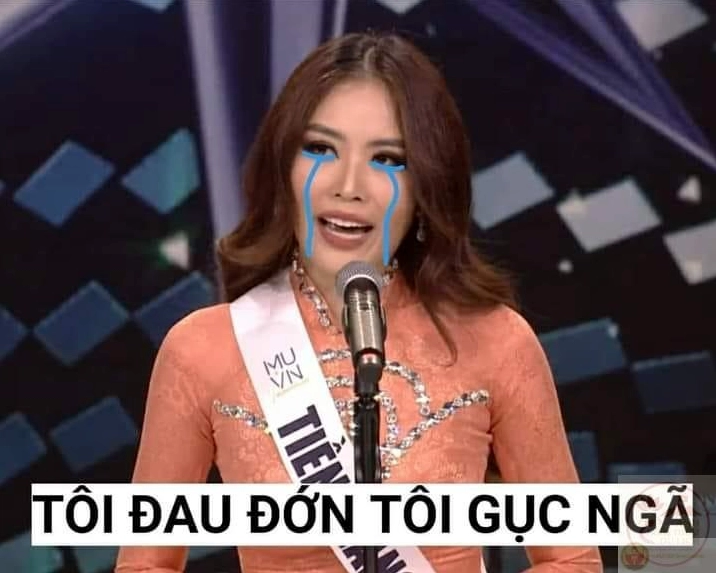 70+ Meme Gục Ngã Biểu Cảm Kiệt Sức Cho Ngày Mệt Mỏi
