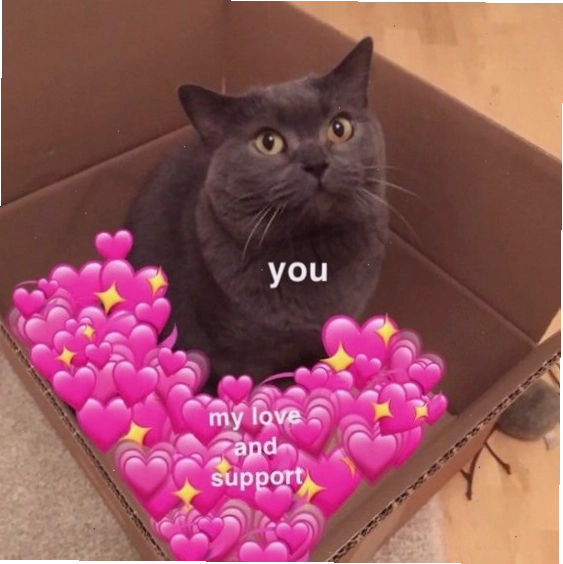 Ảnh meme động vật nhỏ nhắn dễ thương