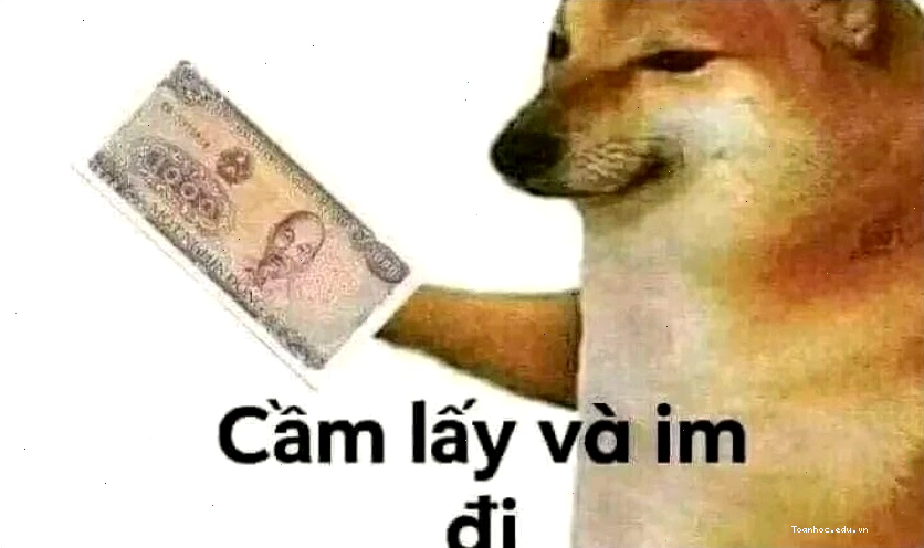 Avatar meme mèo hài bựa thể hiện sự tự tin thái quá