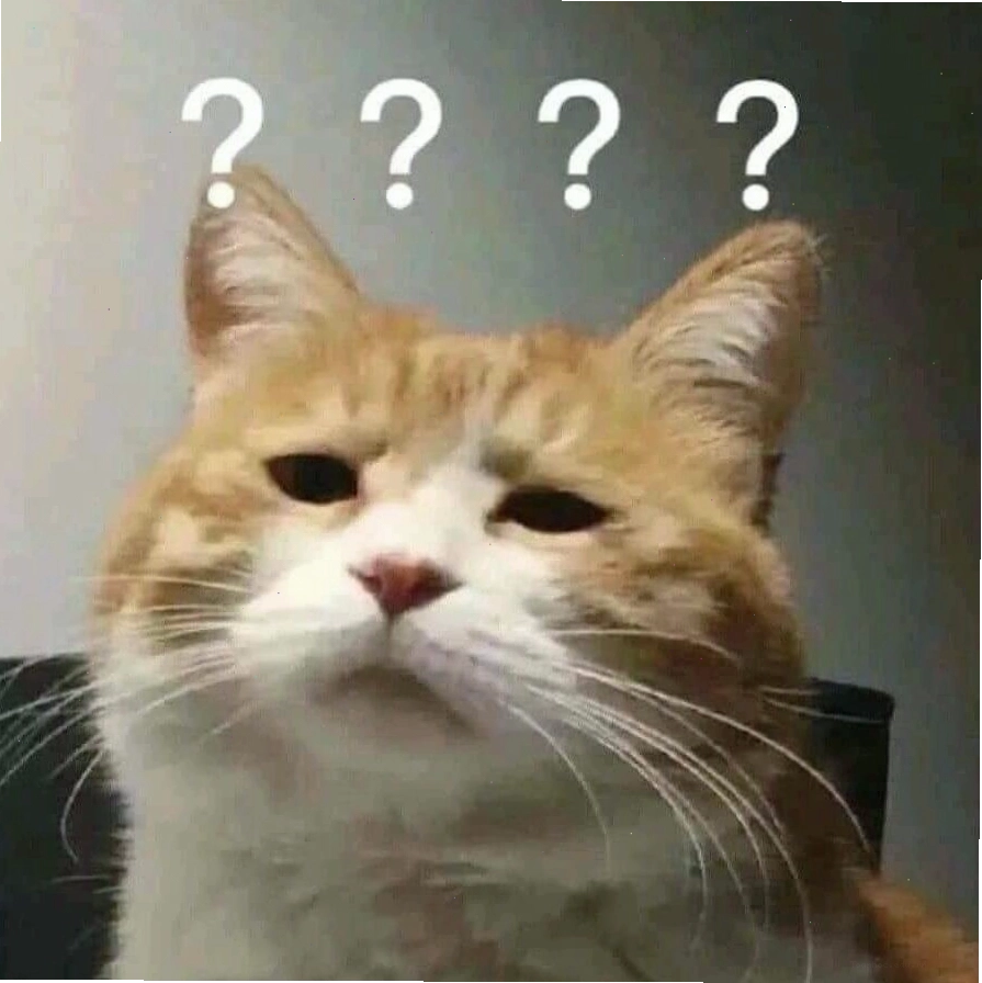 Avatar mèo meme với biểu cảm "khó đỡ" độc đáo