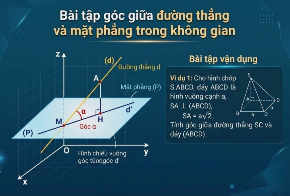 Bài tập tính góc giữa đường thẳng và mặt phẳng trong hình chóp