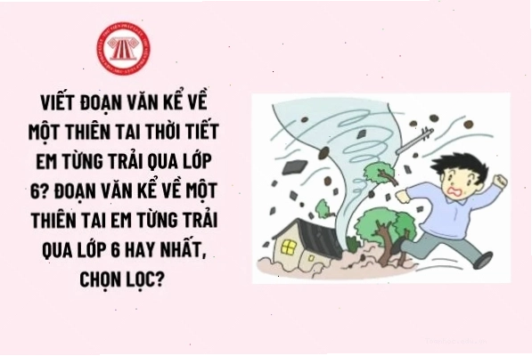 Bản vẽ kiến trúc mái nhà