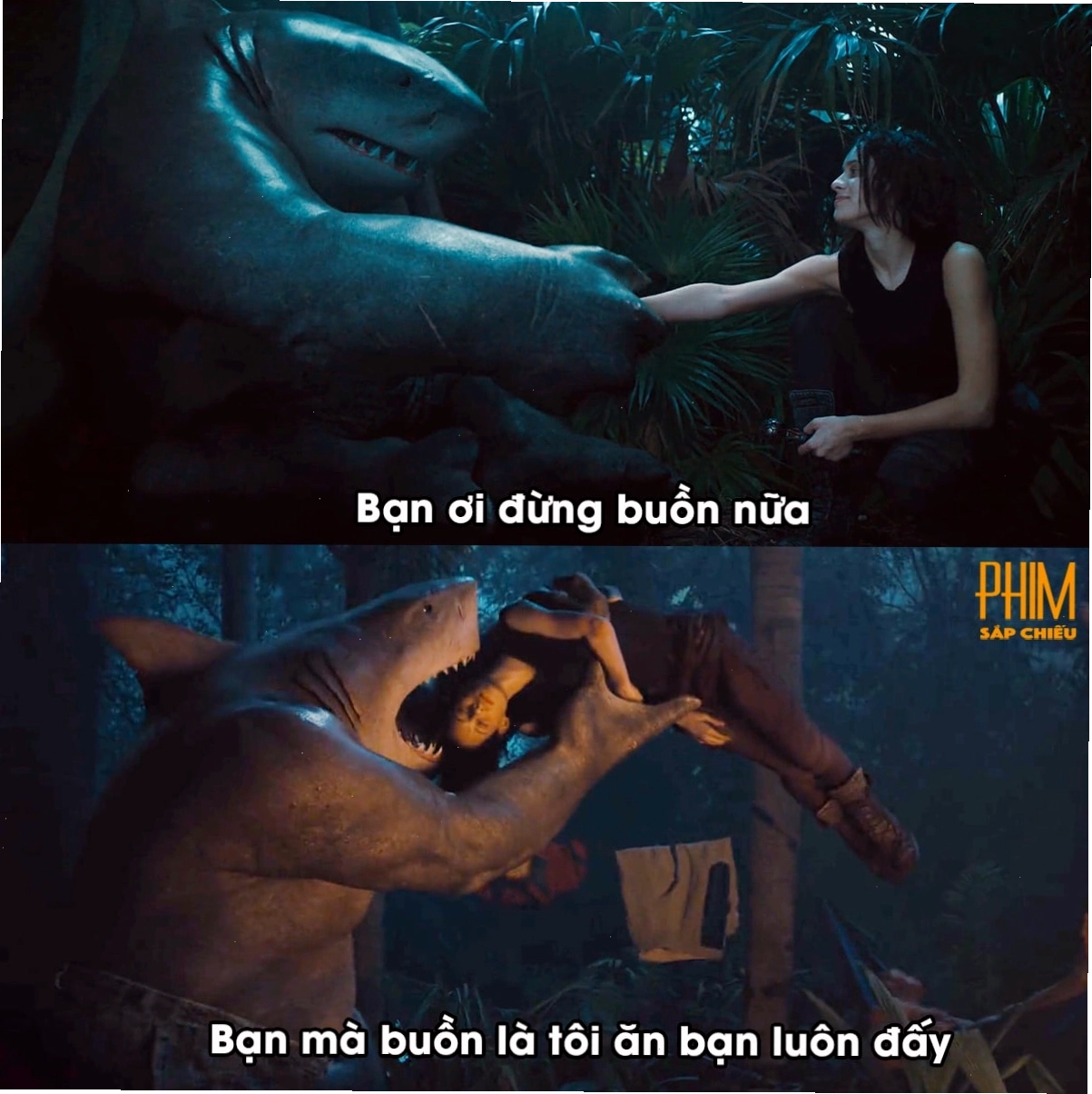 Biểu cảm cá mập đáng yêu