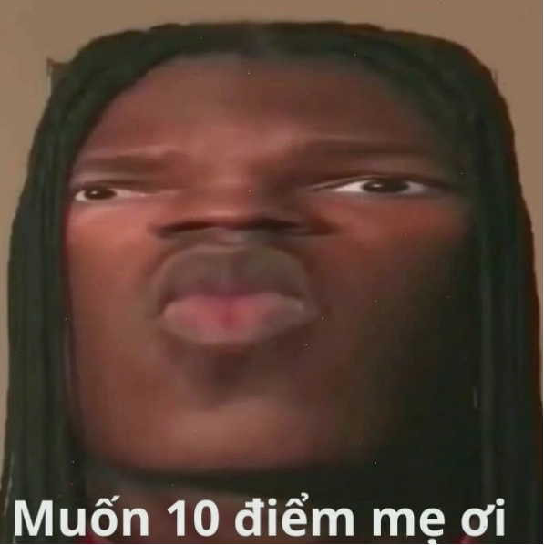 Biểu cảm hài hước trong meme 10 điểm