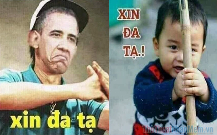 Bộ Sưu Tập Đa Tạ Meme: Cảm Ơn Kiểu Lầy Lội