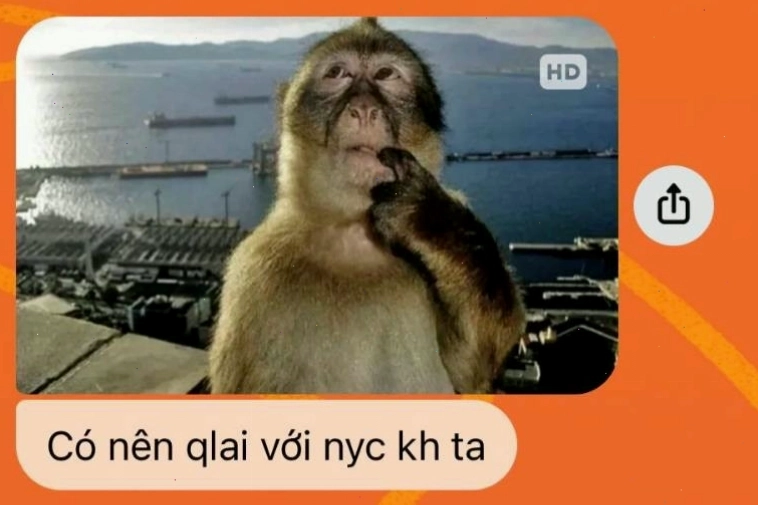 Cách mọi người sử dụng meme con khỉ suy nghĩ trong giao tiếp trực tuyến