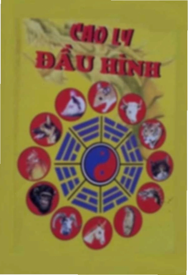 Cao ly đầu hình